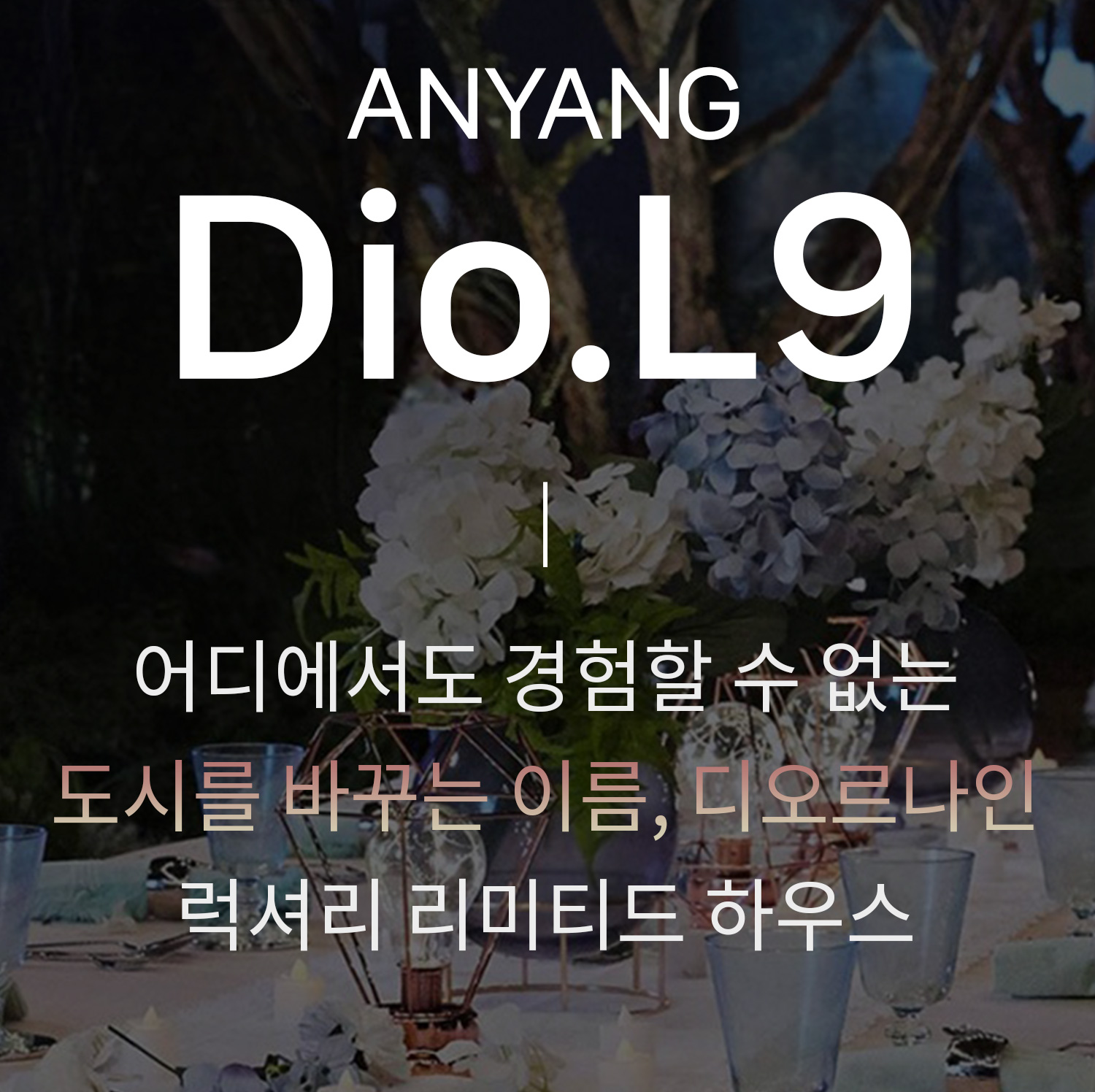 안양 디오르나인 회사보유분